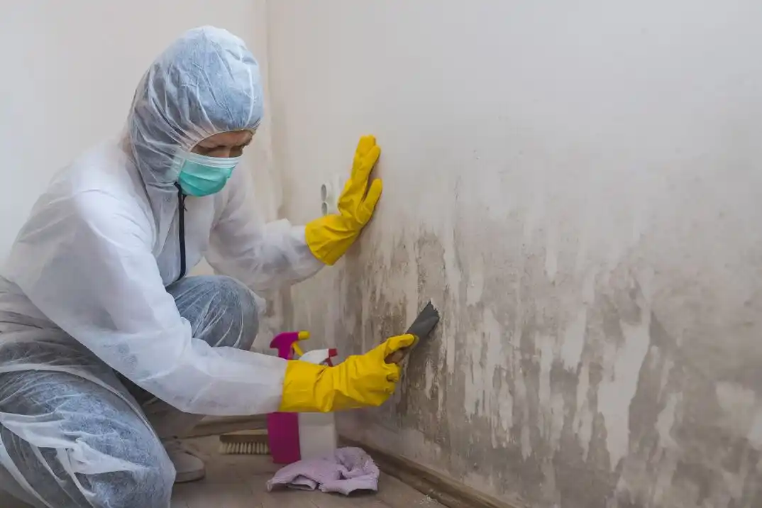 water damage restoration service Bakersville
